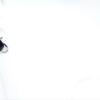 ARETES DOS GATOS - Imagen 2