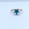 ANILLO ESTRELLA - Imagen 2