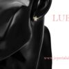 ARETES TORTUGA - Imagen 3