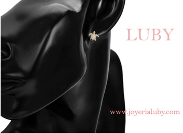 ARETES TORTUGA - Imagen 3