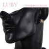 ARETES COPO DE NIEVE - Imagen 3