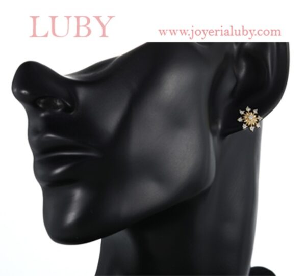 ARETES COPO DE NIEVE - Imagen 3
